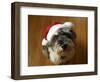 The Pets-Nance Trueworthy-Framed Photographic Print