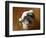 The Pets-Nance Trueworthy-Framed Photographic Print