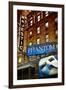 The Phantom Of The Opera - Majestic - Times Square - New York City - United States-Philippe Hugonnard-Framed Premium Photographic Print