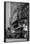 The Phantom Of The Opera - Majestic - Times Square - New York City - United States-Philippe Hugonnard-Framed Stretched Canvas