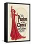 The Phantom of the Opera-null-Framed Stretched Canvas