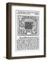 The Philosopher Teaches the King to Rule Through the Allegory of Chess-null-Framed Photographic Print