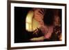 The Philosopher-Rembrandt van Rijn-Framed Premium Giclee Print