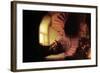 The Philosopher-Rembrandt van Rijn-Framed Art Print