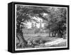 The Phoenix Park, Dublin, 19th Century-null-Framed Stretched Canvas