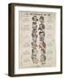 The Physiology of the Nose, Anti-Alcoholism Caricature-null-Framed Giclee Print