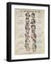 The Physiology of the Nose, Anti-Alcoholism Caricature-null-Framed Giclee Print