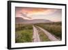 The Piano Grande in the Monti Sibillini, Umbria, Italy, Europe-Julian Elliott-Framed Photographic Print