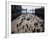 The Piazzetta, Venice, Veneto, Italy-Michael Jenner-Framed Photographic Print