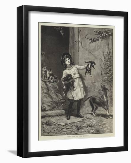 The Pick of the Litter-Stanley Berkeley-Framed Giclee Print