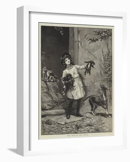 The Pick of the Litter-Stanley Berkeley-Framed Giclee Print