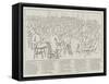 The Picture of the Irish Parliamentary Party, 1886-null-Framed Stretched Canvas
