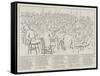 The Picture of the Irish Parliamentary Party, 1886-null-Framed Stretched Canvas