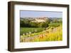 The Picturesque Medieval Harburg Castle, Harburg, Swabia, Bavaria, Germany-Doug Pearson-Framed Photographic Print