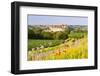 The Picturesque Medieval Harburg Castle, Harburg, Swabia, Bavaria, Germany-Doug Pearson-Framed Photographic Print