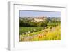 The Picturesque Medieval Harburg Castle, Harburg, Swabia, Bavaria, Germany-Doug Pearson-Framed Photographic Print