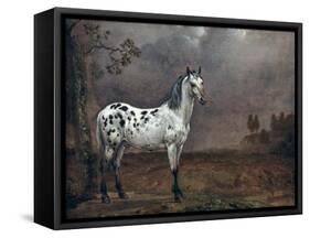 The Piebald Horse, 1653-Paulus Potter-Framed Stretched Canvas