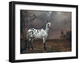 The Piebald Horse, 1653-Paulus Potter-Framed Giclee Print