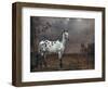 The Piebald Horse, 1653-Paulus Potter-Framed Giclee Print