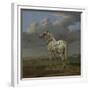 The "Piebald" Horse, c.1650-4-Paulus Potter-Framed Giclee Print