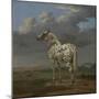 The "Piebald" Horse, c.1650-4-Paulus Potter-Mounted Giclee Print