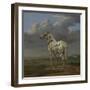 The "Piebald" Horse, c.1650-4-Paulus Potter-Framed Giclee Print