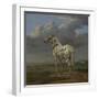 The "Piebald" Horse, c.1650-4-Paulus Potter-Framed Giclee Print