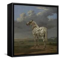 The "Piebald" Horse, c.1650-4-Paulus Potter-Framed Stretched Canvas