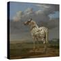 The "Piebald" Horse. Ca. 1650-54-Paulus Potter-Stretched Canvas