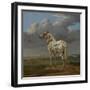 The "Piebald" Horse. Ca. 1650-54-Paulus Potter-Framed Giclee Print