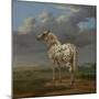 The "Piebald" Horse. Ca. 1650-54-Paulus Potter-Mounted Giclee Print