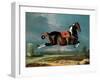 The Piebald Horse "Cehero" Rearing-Johann Georg de Hamilton-Framed Giclee Print