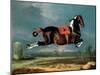 The Piebald Horse "Cehero" Rearing-Johann Georg de Hamilton-Mounted Giclee Print