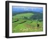 The Pienny, Carpathian Mountains, Poland-Peter Adams-Framed Photographic Print