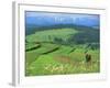 The Pienny, Carpathian Mountains, Poland-Peter Adams-Framed Photographic Print