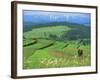 The Pienny, Carpathian Mountains, Poland-Peter Adams-Framed Photographic Print