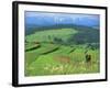 The Pienny, Carpathian Mountains, Poland-Peter Adams-Framed Photographic Print