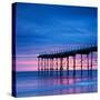 The Pier at Saltburn-By-The-Sea, North Yorkshire, at Sunrise-Travellinglight-Stretched Canvas