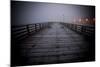 The Pier Near Seattle's Water Taxi Zone on the Puget Sound, West Seattle, Washington-Dan Holz-Mounted Photographic Print
