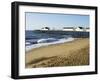 The Pier, Southwold, Suffolk, England, United Kingdom-Amanda Hall-Framed Photographic Print