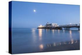 The Pier-Guido Cozzi-Stretched Canvas