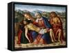 The Pieta-Giovanni di Niccolo Mansueti-Framed Stretched Canvas