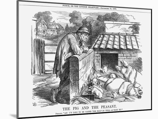 The Pig and the Peasant, 1863-John Tenniel-Mounted Giclee Print