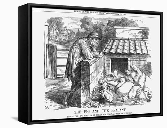 The Pig and the Peasant, 1863-John Tenniel-Framed Stretched Canvas