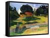 The Pig Field-Paul Gauguin-Framed Stretched Canvas