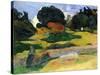 The Pig Field-Paul Gauguin-Stretched Canvas