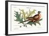 The Pigeon of Passage, 1749-73-Mark Catesby-Framed Giclee Print