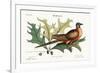 The Pigeon of Passage, 1749-73-Mark Catesby-Framed Giclee Print