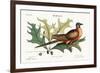 The Pigeon of Passage, 1749-73-Mark Catesby-Framed Giclee Print