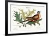 The Pigeon of Passage, 1749-73-Mark Catesby-Framed Giclee Print